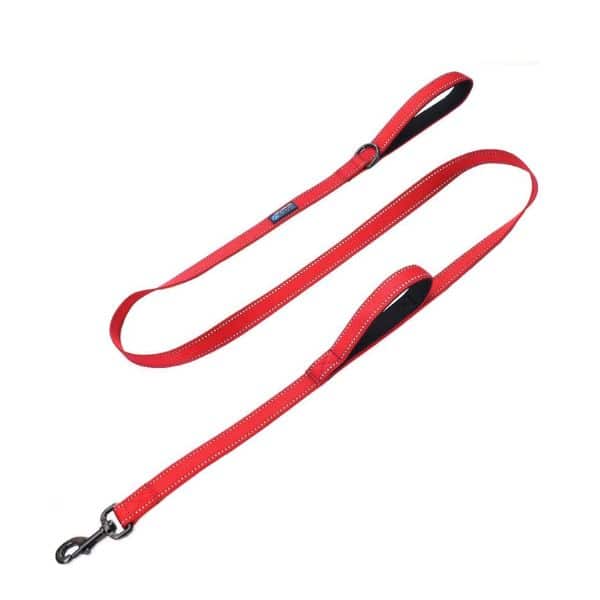 Max And Neo Leash 