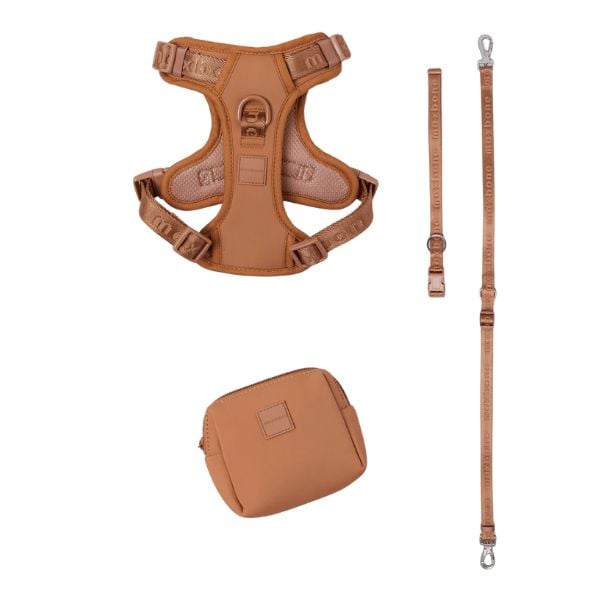 Maxbone harness and leash set.
