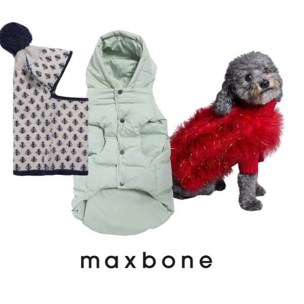 Maxbone holiday outfits.