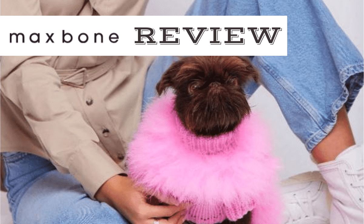 Woman with black pug in a pink designer jacket (Caption: Maxbone Review)