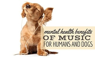 A puppy dog wearing earbuds and shaking its head with its eyes closed against a blank white background. (Caption: Mental Health Benefits Of Music For Humans & Dogs)