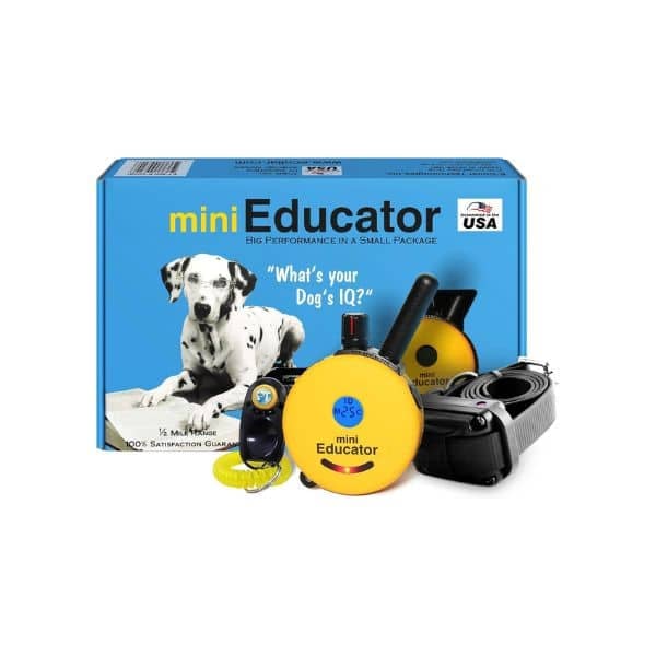 Mini-Educator ET-300 dog shock collar