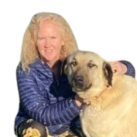 Photo of MJ Shaffer
