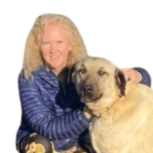 Catahoula Leopard Dog: Breed Characteristics, Temperament & More