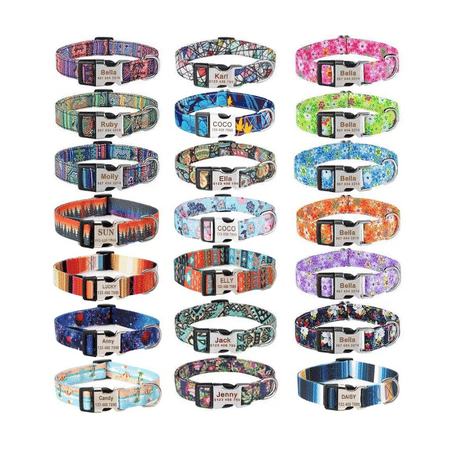 Moonpet Personalized Custom Dog Collars