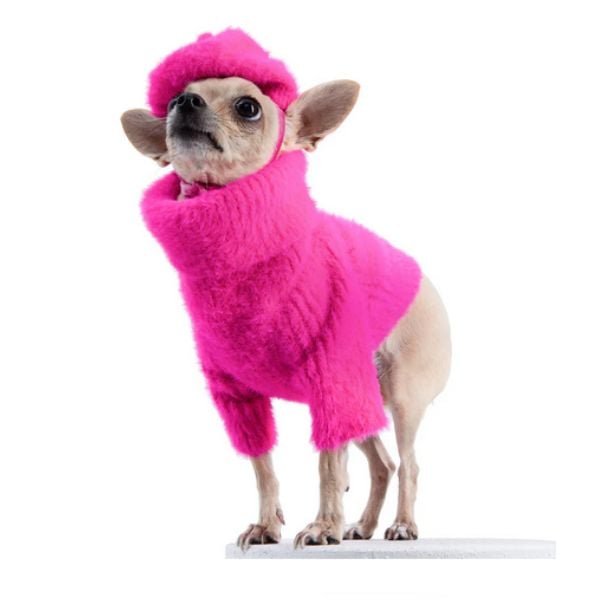 Moshiqa dog sweater and hat.