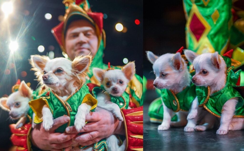 Piff the Magic Dragon with 3 cloned dogs.