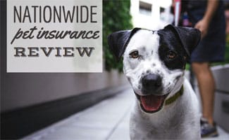 20 Top Pictures Nationwide Pet Health Insurance Reviews / Nationwide Pet Insurance Review Reviews Com