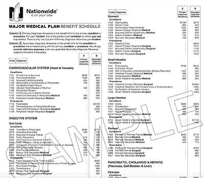 Nationwide Benefit schedule