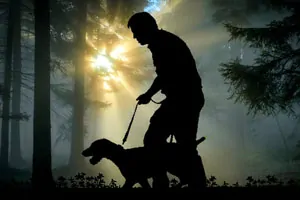 Man with dog hunting in dark