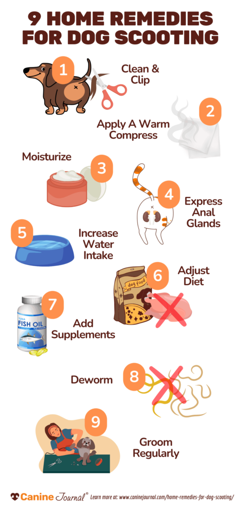 Infographic showing nine remedies for dog scooting.