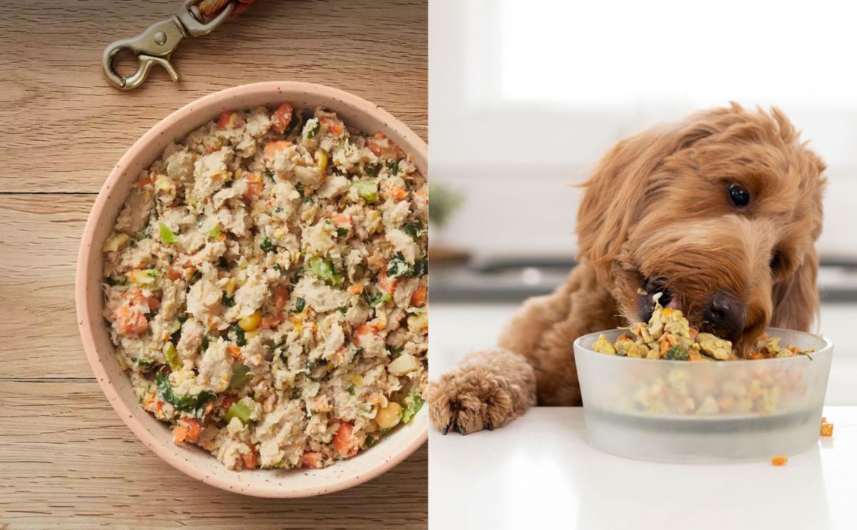 A bowl of Farmers Dog next to a photo of a dog eating nom nom out of a bowl on the counter