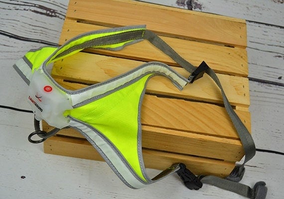 noxgear light up harness for dogs sitting on wooden crate