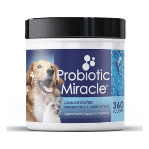 Probiotic Miracle powder