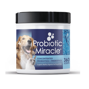 Nusentia Probiotic Miracle Review