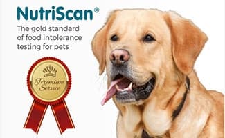 Nutriscan Dog Allergy Test Box