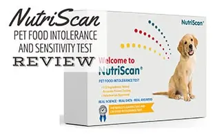 NutriScan test kit (Caption: NutriScan Pet Food Intolerance And Sensitivity Test Review)