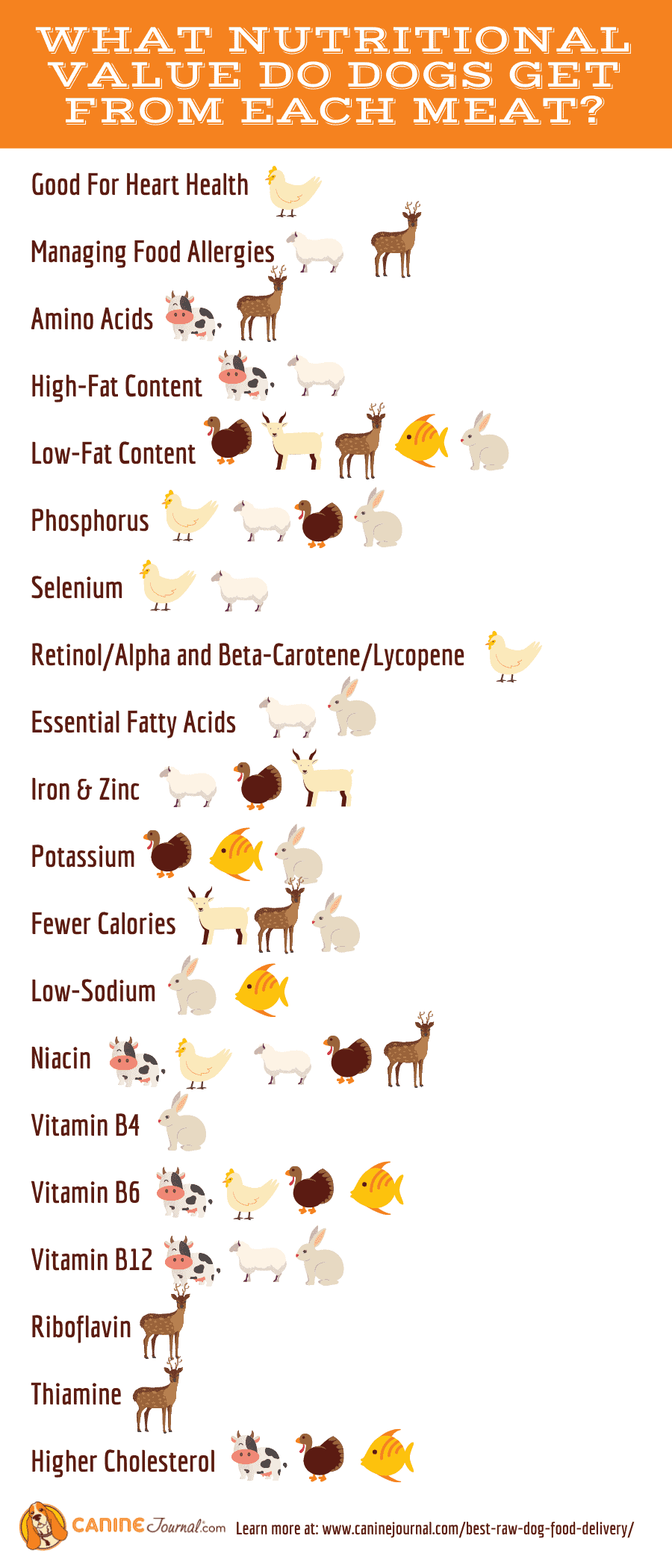 What Nutritional Value Do Dogs Get From Each Meat Infographic