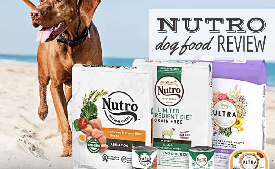 Dog on the beach with 3 types of Nutro dog food (Caption: Nutro Dog Food Review)