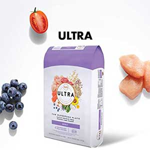 NUTRO ULTRA™ bag of dog food with blueberries, tomato and chicken