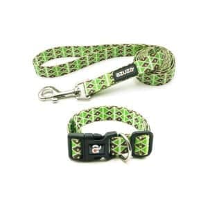 nylon leash and collar