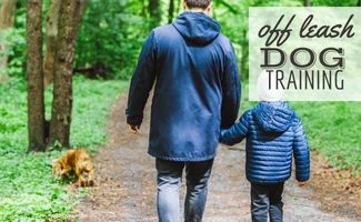 Father and son walking on trail with Cocker Spaniel dog off leash (Caption: Off-Leash Dog Training)