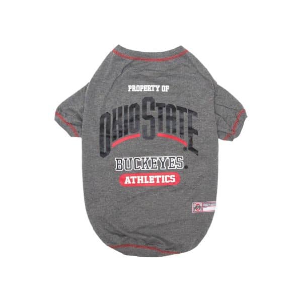 Ohio State dog school jersey.