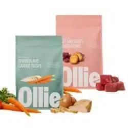 Ollie baked food bags