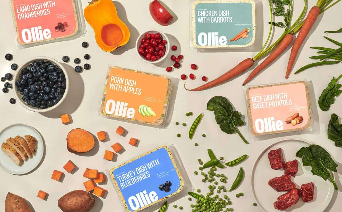 How Much Does Ollie Dog Food Cost Canine Journal How Much Does Ollie Dog Food Cost Canine Journal