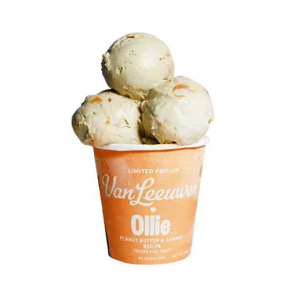 Ollie Dog Ice Cream