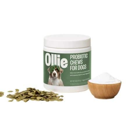 ollie for dogs probiotic