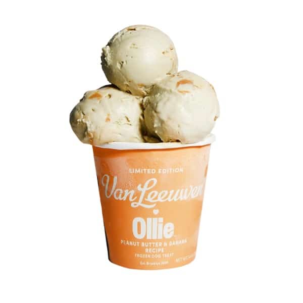 Ollie ice cream.