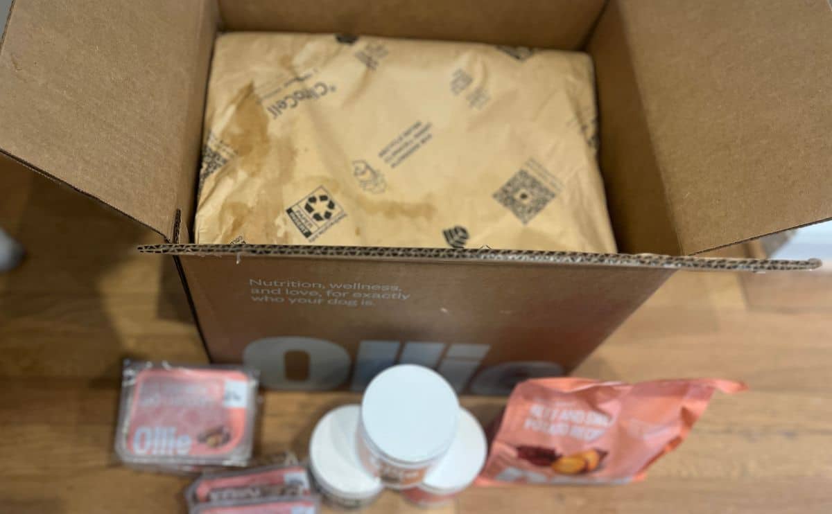 Ollie packaging overhead photo