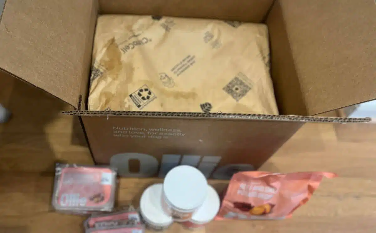 Ollie packaging overhead photo