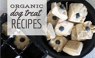 homemade organic dog treats recipe