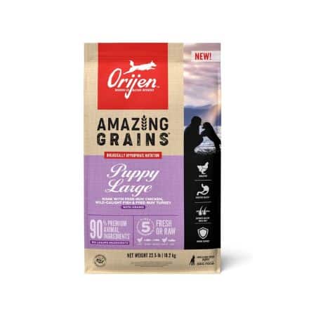 Orijen Amazing Grains Puppy Large Breed