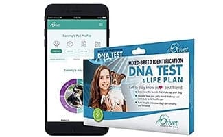 Orivet DNA Test & Phone