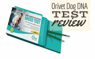 Orivet Dog DNA Test (Caption: Orivet Dog DNA Test Review)