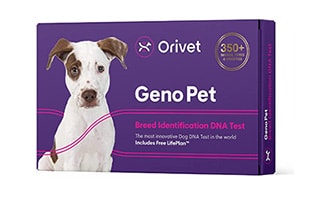 Orivet Dog DNA Test