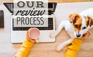 Girl sitting at desk with dog (caption: Our Review Process)