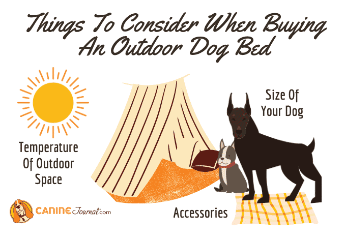 Things To Consider When Buying An Outdoor Dog Bed