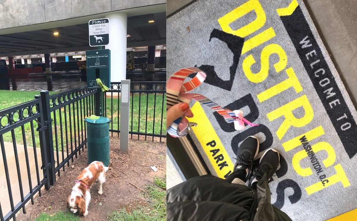 outside pet relief area at airport and dog sitting entrance