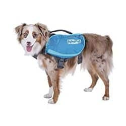 Outward Hound backpack on a dog
