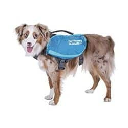 Outward Hound backpack for dogs