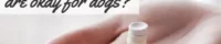 Person holding medicine in hand (caption: Which Over-The-Counter Medications Are Okay For Dogs?)