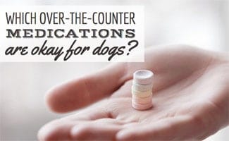 meds i can give my dog