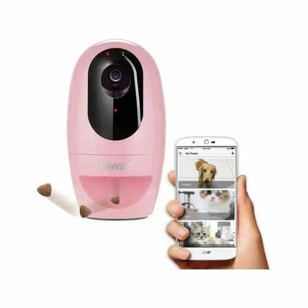 Pawbo Camera