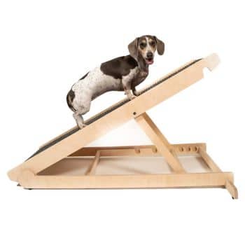 Best Adjustable Ramp: Pawnotch Adjustable Pet Ramp Review