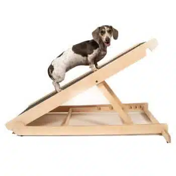 Best Adjustable Ramp: Pawnotch Adjustable Pet Ramp Review