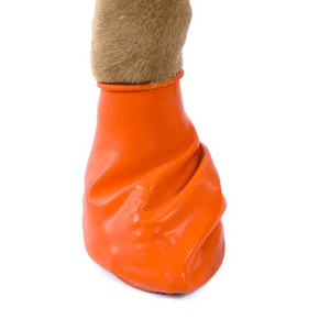 PawZ Dog Boots